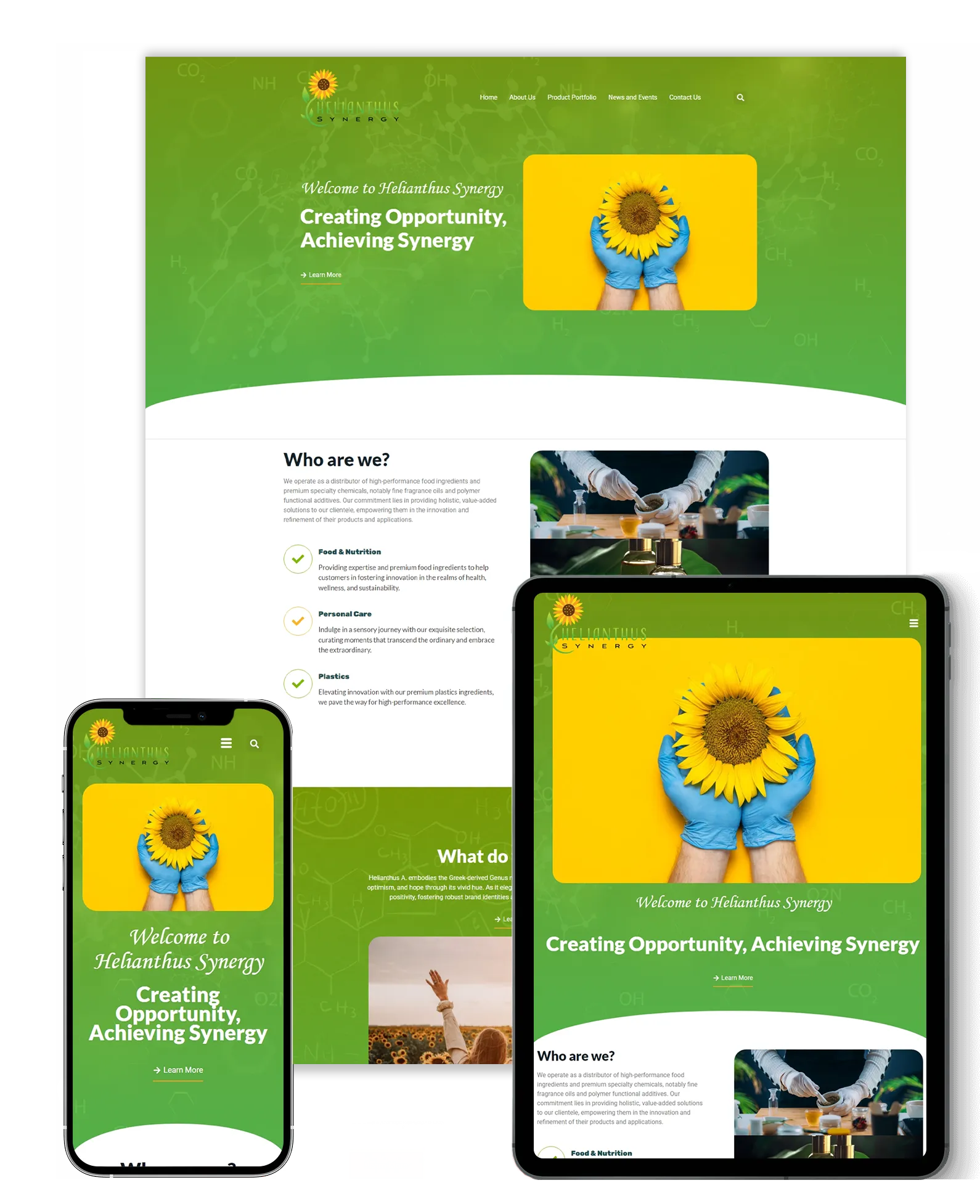 Helianthus Synergy
