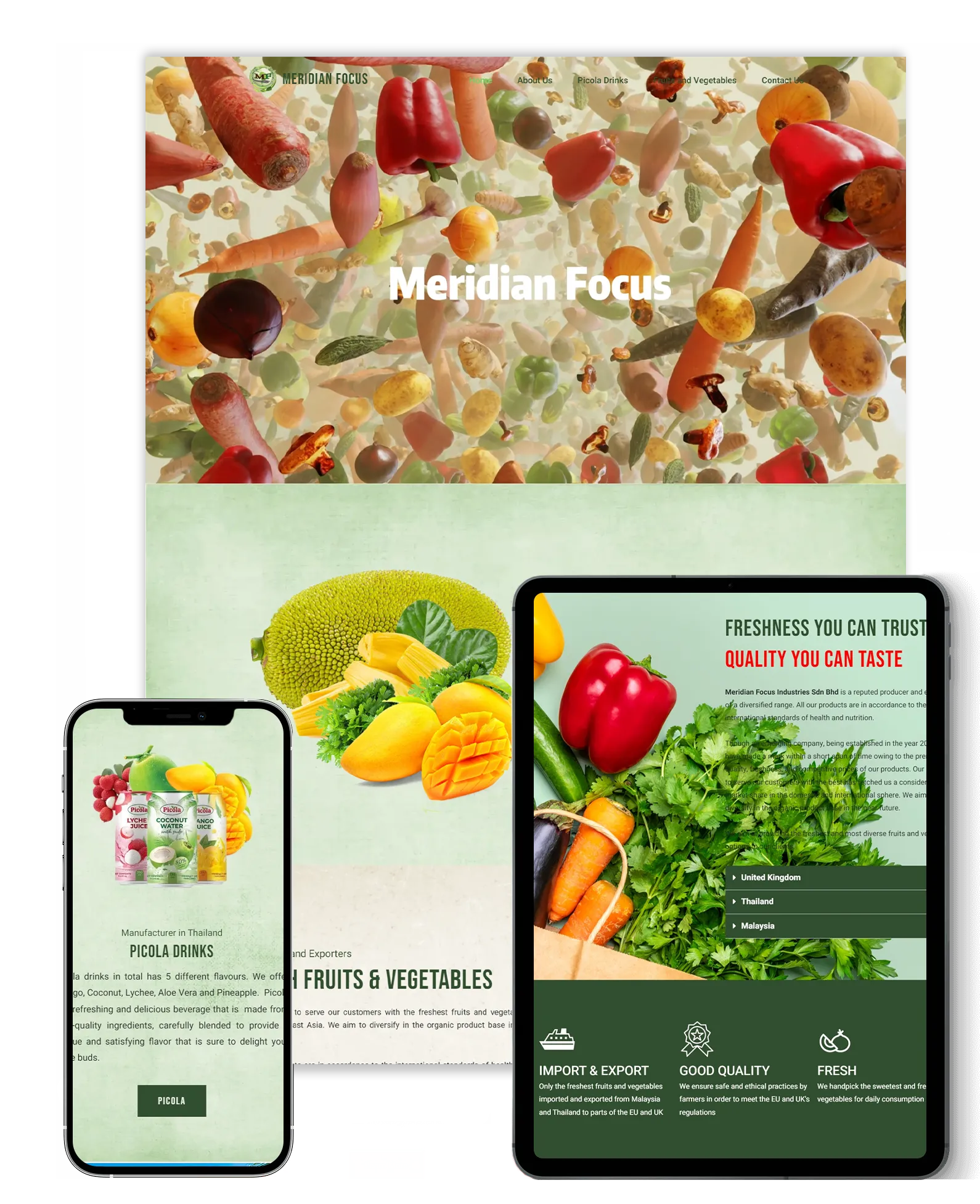 Meridian Focus Industries
